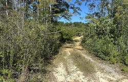 Parcel B Millside Road, Laurel Hill, FL 32567