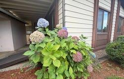 450 SE Lacreole, Dallas, OR 97338