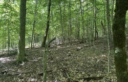 962 Marlow Circle, Clinton, TN 37716