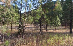TORODA CREEK Rd, CURLEW, WA 99118