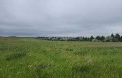NA, Petrel, ND 57638