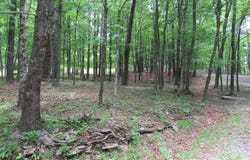 773 Ohayo Mountain Road, Glenford, NY 12433