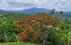 53 INGENIO STREET, LUQUILLO, 00773