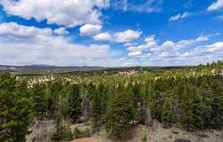 451 Chipeta Creek Trail, Florissant, CO 80816
