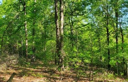 0 Highway 57, Macon, GA 31217