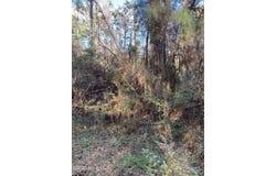 257 Wards Lane, Havelock, NC 28532