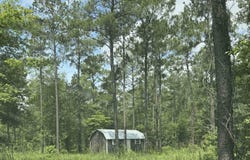 090 County Divide Road, Pineland, TX 75968