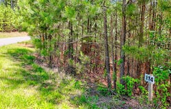 Lot 114 Sandy Lake Lane, Blairsville, GA 30512