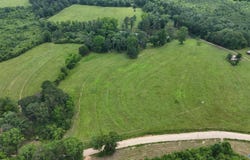 1149 County Road 865, Collinsville, AL 35961
