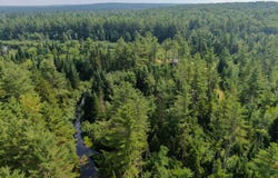 Lot 38.1 Chipper Road, Kingman Twp, ME 04451