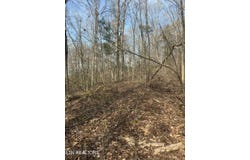 320 Frost Bottom Rd, Oliver Springs, TN 37840