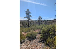958 NAVAJO Trail, Show Low, AZ 85901