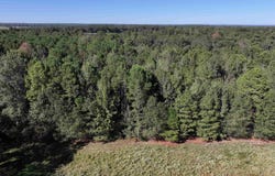 Central Road, Horatio, AR 71842