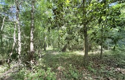 Jackson Liberty Drive, Smithdale, MS 39664