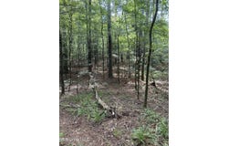 West Boulevard, West, MS 39192