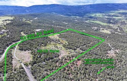 12705 55 Road, Collbran, CO 81624