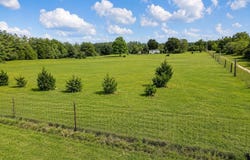 183 Deer Trail, Defuniak Springs, FL 32433