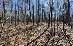 Veterans Lookout, Wilder, TN 38589