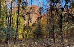41-5 E Audubon Dr, Shepherdsville, KY 40165