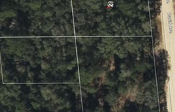 DAVID LOT #54 Avenue, Interlachen, FL 32148