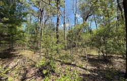 1310 S Cree Drive, Friendship, WI 53934