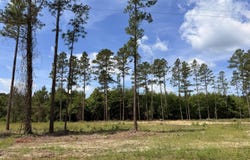0 Wilbur Pridgen Rd., Harrells, NC 28444