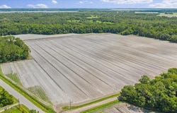 233 E RIVER Road, East Palatka, FL 32131