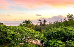 1875 KALANIANAOLE ST unit: 504, Hilo, HI 96720