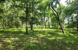 0 Highway 76, Norwood, MO 65717