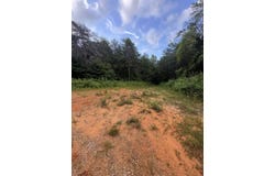 16.68+/- Acres Hwy 127 N, Albany, KY 42602