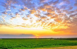 TBD Escalon-Bellota Road, Escalon, CA 95320