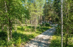5374 Us Highway 93 W, Whitefish, MT 59937