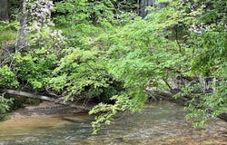 Lot 52 Madeline Way, Blairsville, GA 30512