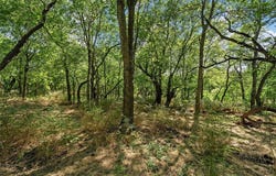 Tbd County Road 214, Coolidge, TX 76635
