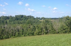 3944 Napier Ridge, Genoa, WV 25517