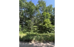 3628 Indian Trail Crossing, Hersey, MI 49639