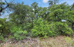 Tenbears CT, Mingus, TX 76463