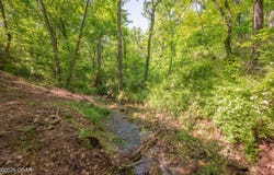1559 Cowskin Road, Southwest City, MO 64863