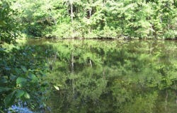74 ESTREMEDURA DRIVE, Hot Springs Village, AR 71909