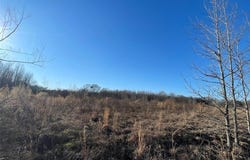 000 County Road 2431, Como, TX 75431