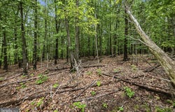 SOTHEBY COURT, WINCHESTER, VA 22602