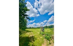 0 Highway 195, Ashridge, AL 35553