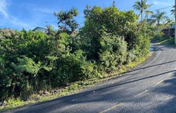 87-435 Kaohe Rd, Captain Cook, HI 96704