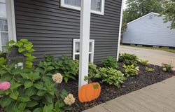 1200 W Pottawatamie Street, Tecumseh, MI 49286