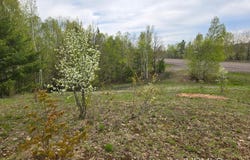 TBD Hwy M26, Hancock, MI 49930