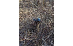702 East Street, Oneonta, NY 13820