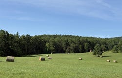 379 Stryker Road, Gilboa, NY 12076