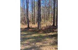 00 Oral Church Rd., Sumrall, MS 39482