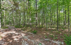 0 Griff Johnson Road, Menlo, GA 30731