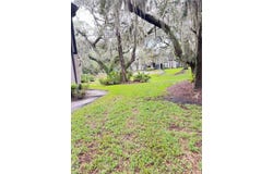 4033 DREAM OAK Place, TAMPA, FL 33613